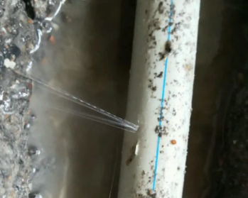 西岗卫生间测漏水多少钱
