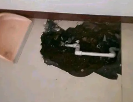 西岗卫生间测漏水多少钱